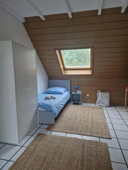Duplex With Patio Near Exhibition Messe Apartment Cologne 0*,  Germany