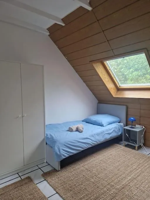 Duplex With Patio Near Exhibition Messe Apartment Cologne