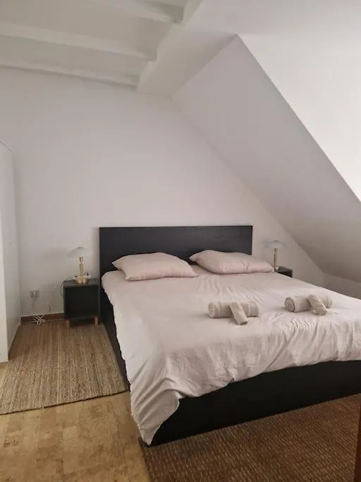 Duplex With Patio Near Exhibition Messe Apartment Cologne Germany